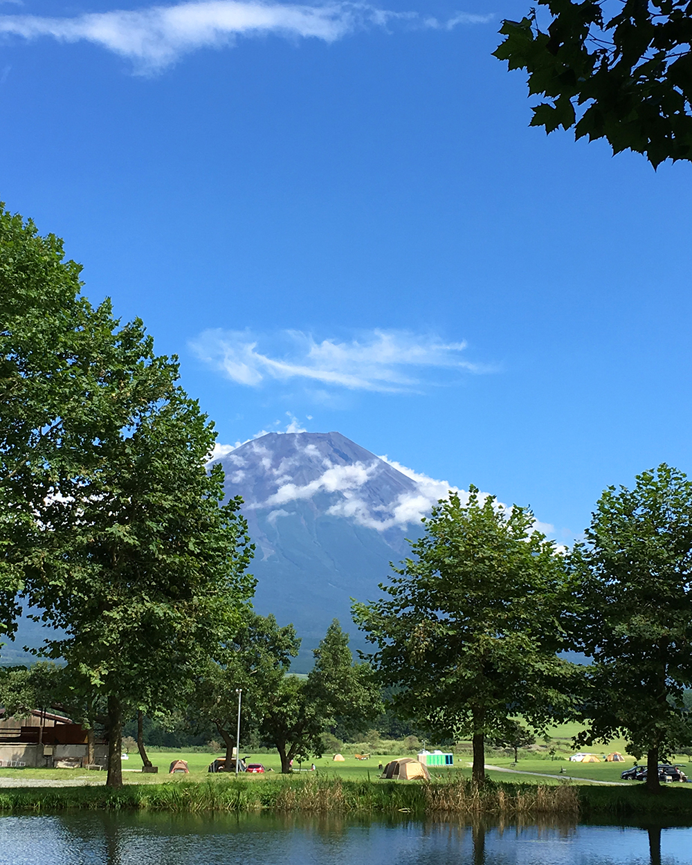 ふもとっぱら　富士山